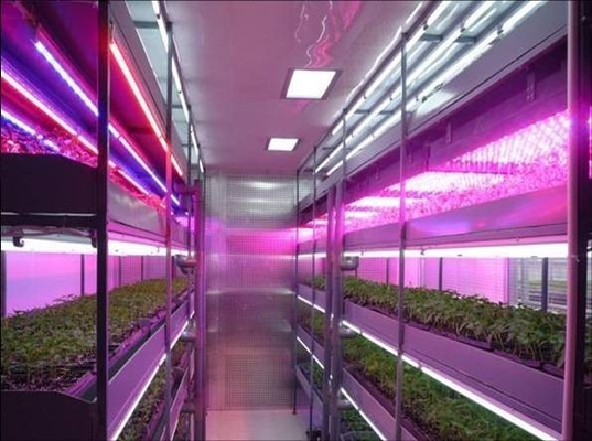 T8 impermeabilizan la planta del LED crecen luces, el LED crece las luces para las plantas interiores y las cosechas